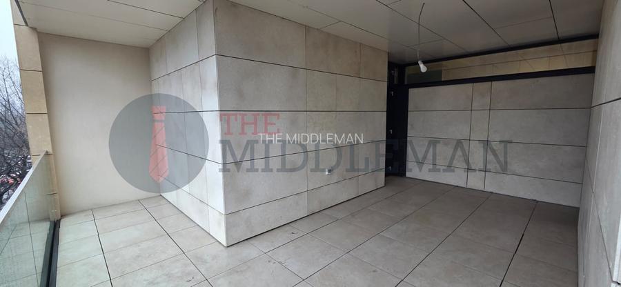 Apartament de lux cu terasă și vedere directă la Parcul Herăstrău - 42