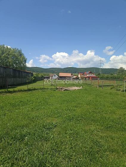 De vânzare teren extravilan la Sfântu Gheorghe - 11
