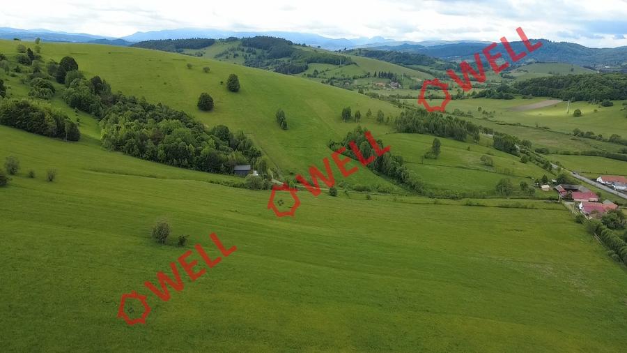 Teren extravilan de vânzare în Barcani, sat Sărămaș!