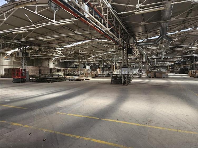 Spatiu Industrial - 5000 mp - Productie - Depozitare - 21