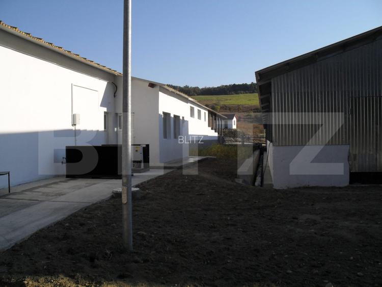 Hale si teren ,curte betonata , destinatii multiple - 13