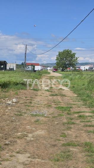 Teren intravilan de vanzare in Sebes drumul Petrestiului - 3