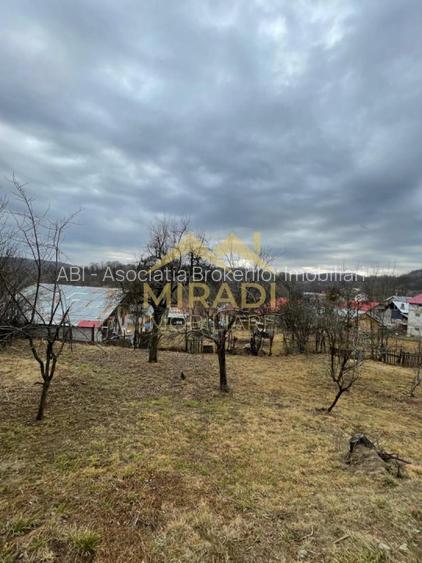 VANZARE CASA  TEREN - 13