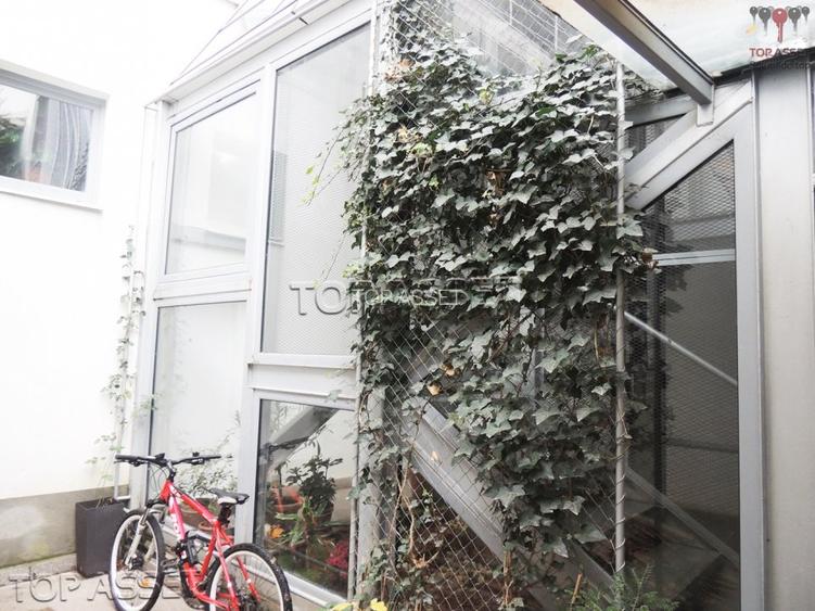 Mosilor, Ferdinand - 16