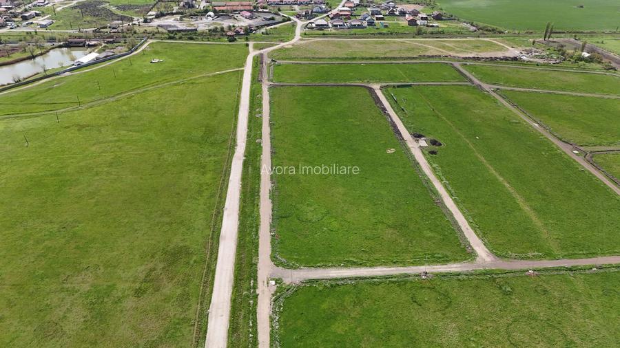 Parcele de teren Sacalaz - 7