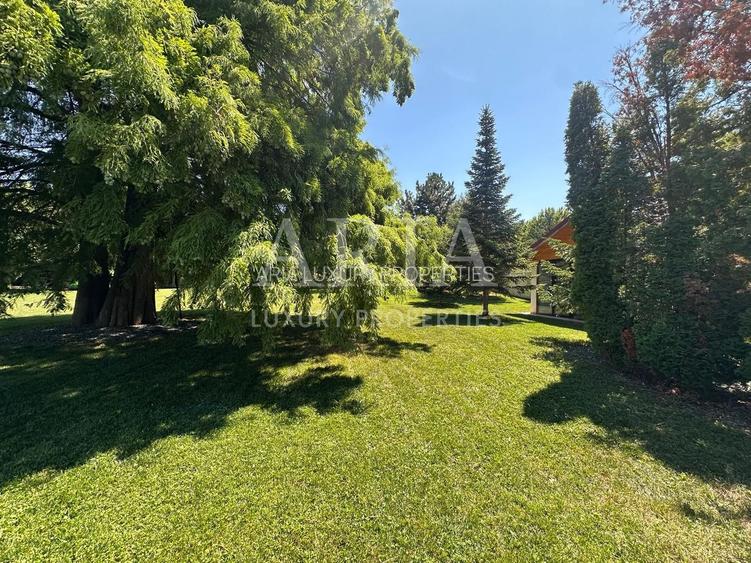 VILĂ INDIVIDUALA LAKEFRONT SNAGOV | POOL - 24