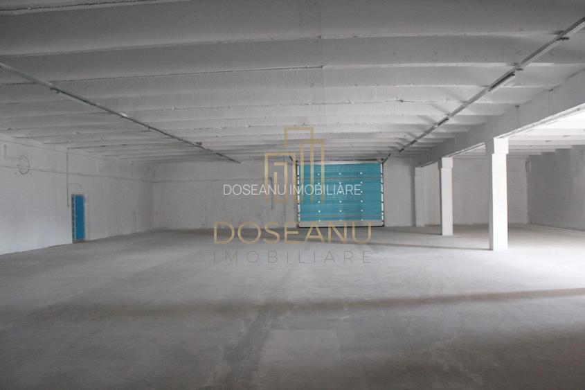 SPATIU INDUSTRIAL - HALA | LES | BIHOR - 2