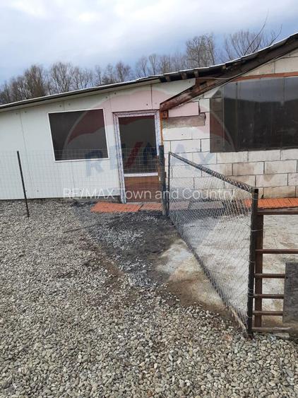 Afacere la cheie în creșterea porcinelor – Rona de Jos - 5