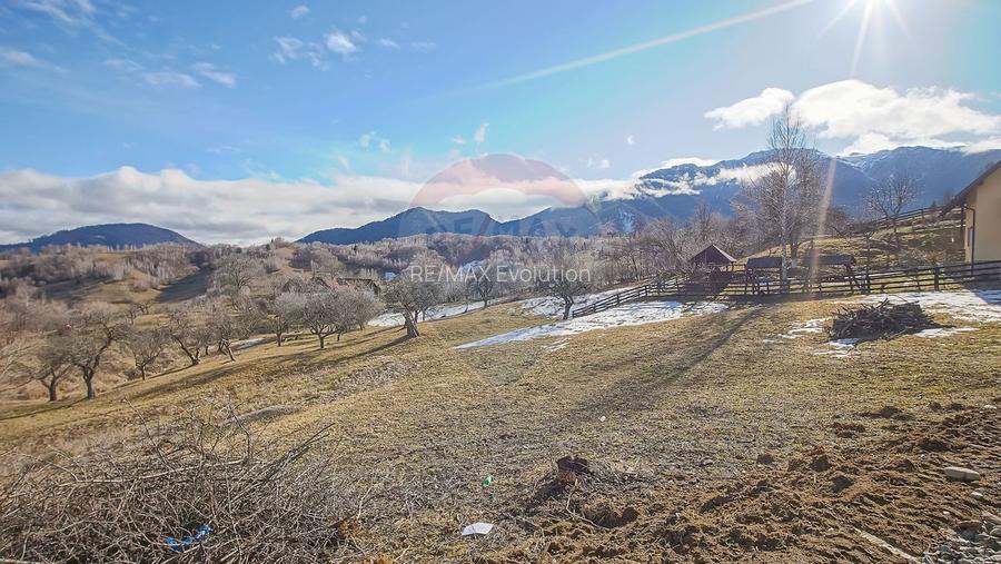 Comision 0%| Teren intravilan Sohodol 2495 mp| Apa si curent - 6