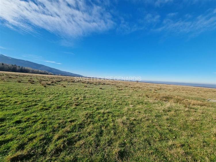 Teren de vanzare in satul de vacanta Dejani - 12