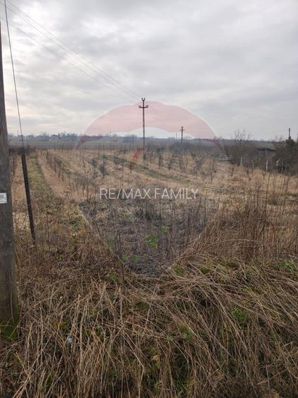 Teren 2.341 mp Uileacu de Munte front 26 ml la drum asfaltat - 5