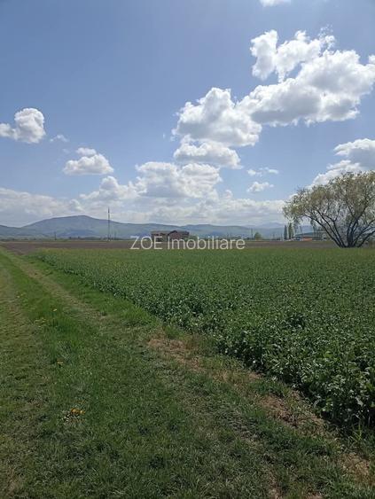 De vânzare teren extravilan langa drumul DN11 - 4