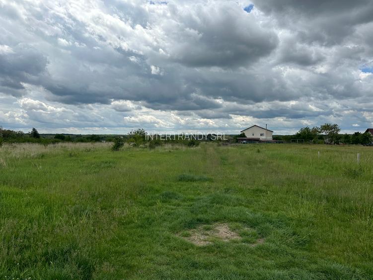 (302) Teren pentru dezvoltatori case Albota, langa Pitesti - 3