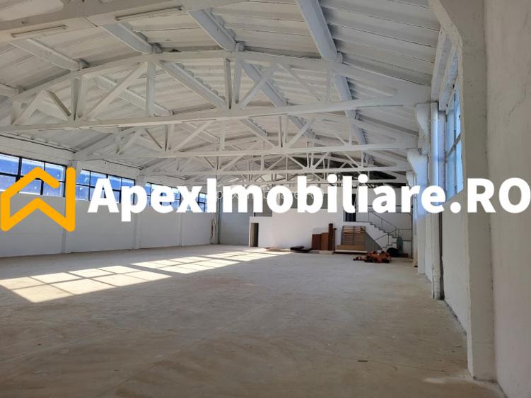 Hala Industriala Xenia – 1800 mp, Acces TIR, Parcare 50 Auto - 15
