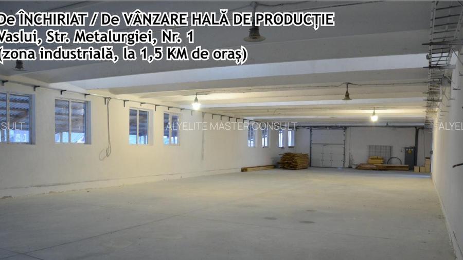 Hala de inchiriat - 4