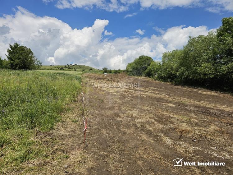 Teren intravilan| front la drum asfaltat| Rediu - 2