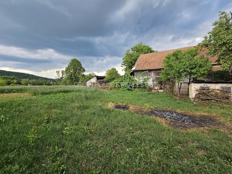 Casa cu teren , localitatea Birtin - 7