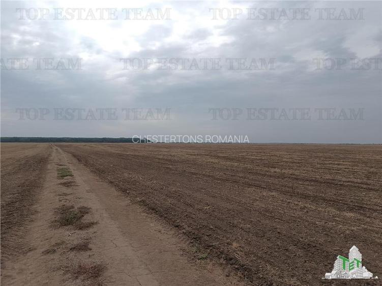 Oferim spre vanzare 6 loturi de teren extravilan (agricol) in Petrachioaia ILFOV - 6