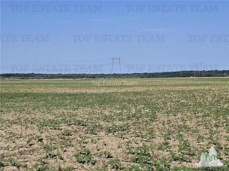 Vanzare teren cu pozitionare excelenta la A1, sensul Pitesti Bucuresti, aproape - 4