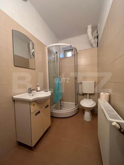 Casa P+1, Brazda lui Novac, 380 mp de teren - 20