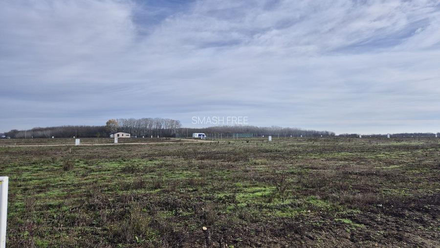 Loturi de teren 638 mp - curent tras la teren - Crevedia - 6