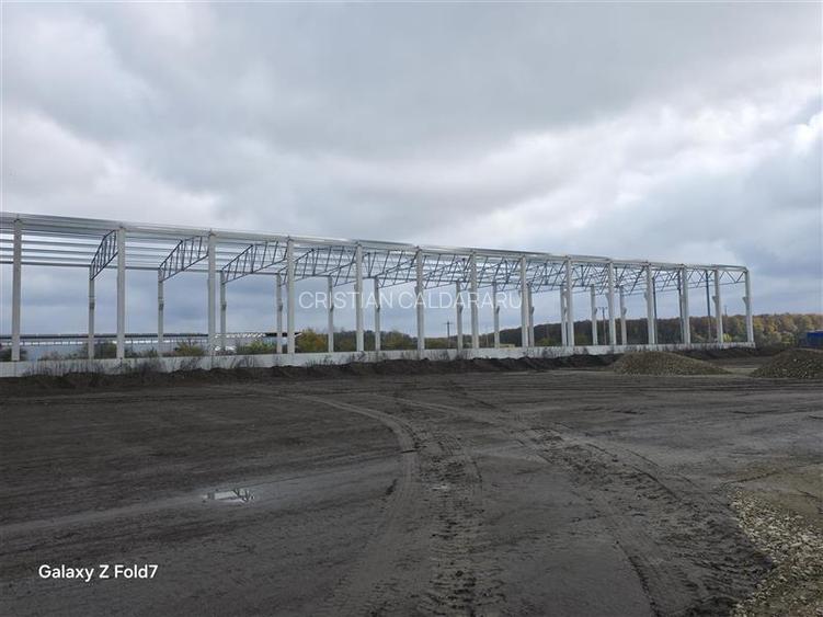 Inchiriere depozit/hala/spatiu industrial Mogosoaia - Buftea - 6