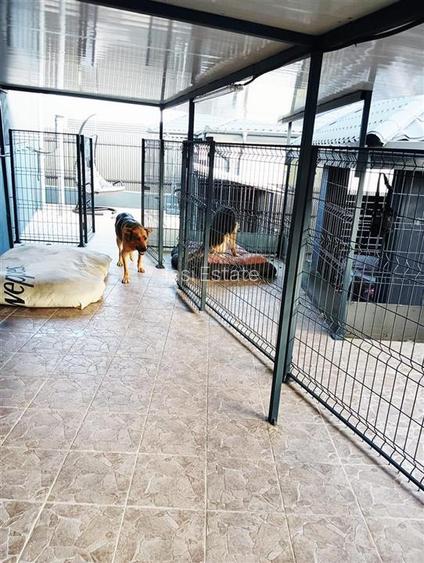 Vanzare URGENTA – Casa + pret negociabil - 15