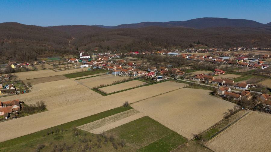 Loc de casă în Odvoș - Conop 3000mp - 16