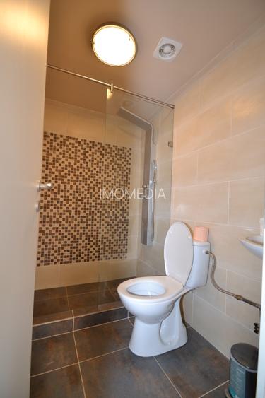 casa cu teren de 5165 mp, in Becicherecu Mic ,la artera principala - 19