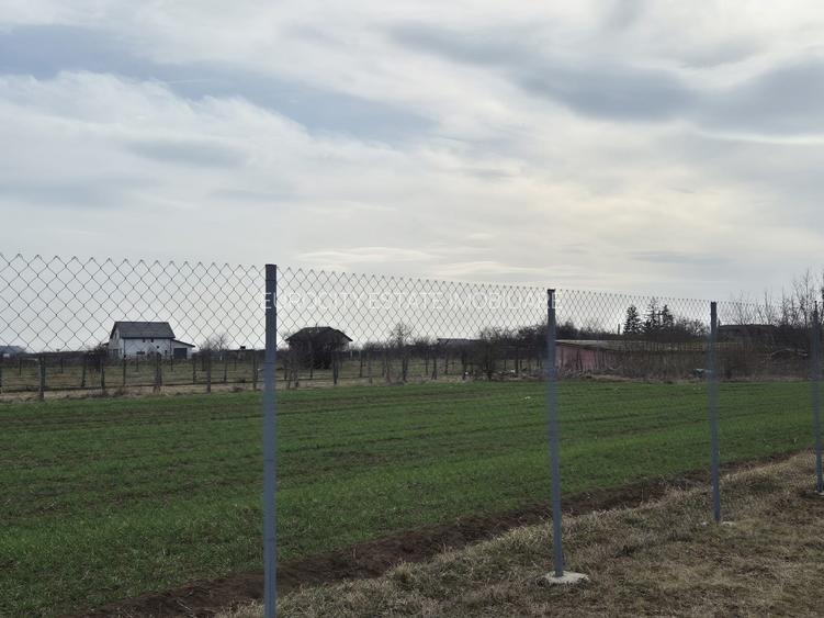 Caciulati, vanzare casa 3 camere la rosu, 400mp. teren - 12