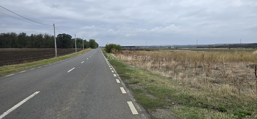 Teren Branesti deschidere la drum asfaltat ideal mica dezvoltare imobiliara. - 5