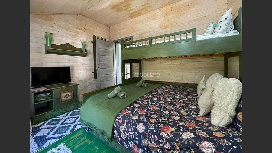 Casa de vacanta superba in Crivaia - 15