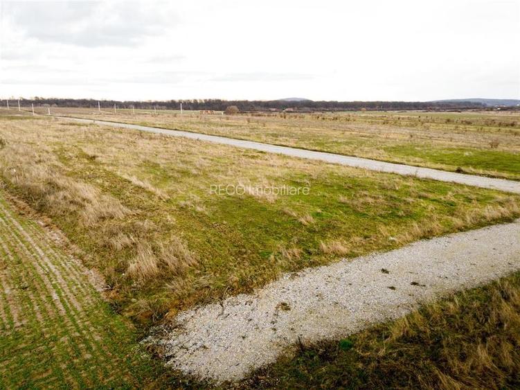 RECO Teren intravilan langa padure 500 mp cu PUZ -Sanmartin - 5