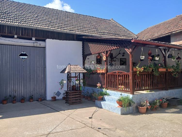 Vând casă în loc. Bulgarus jud Timis - 11