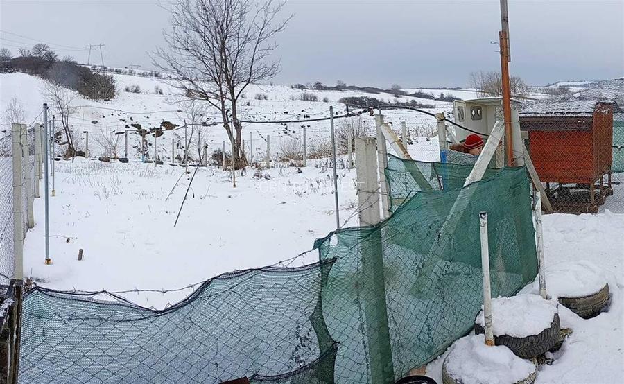 Teren extravilan cu apa si curent 700 mp in Sura Mare - 7