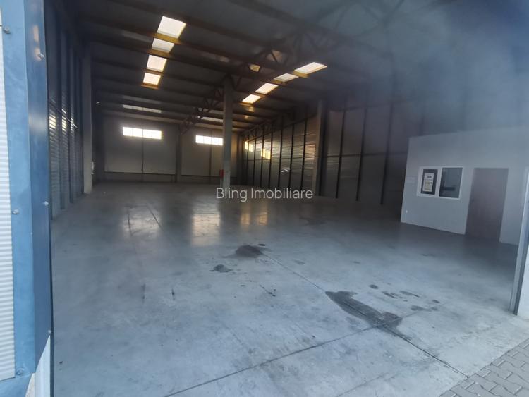 Hala Industriala de inchiriat in Capusu Mare - 2