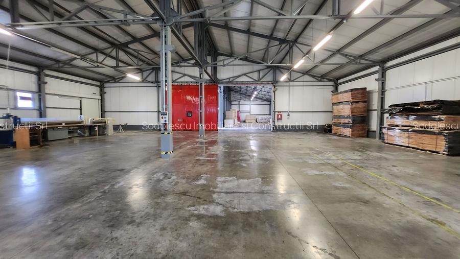Spatiu industrial productie/ depozitare, Timiș - 12