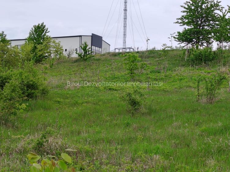 Teren intravilan 1800 mp, Centura-Ciurbesti-dubla deschidere - 9