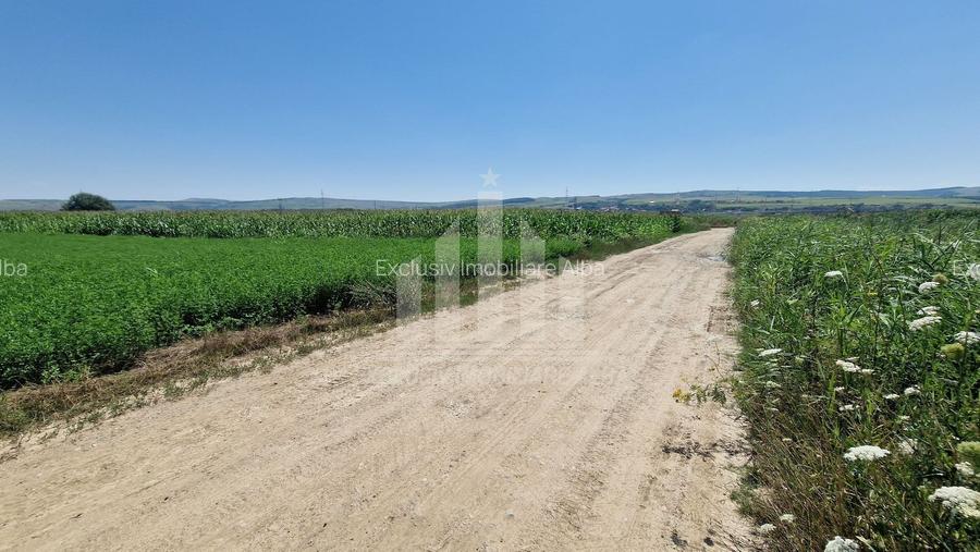 Teren intravilan | 17300 mp | 20 de parcele | Soseaua de Centura - 4