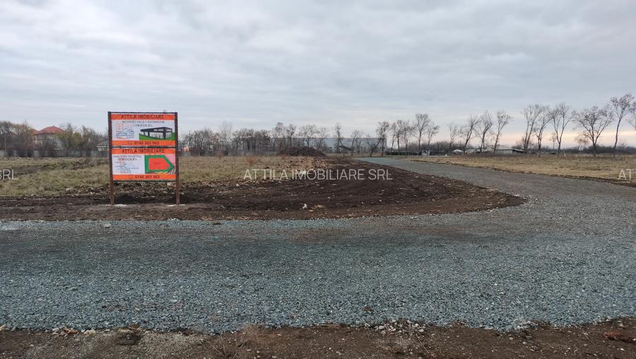 Vand teren industrial 4310 mp in Ghiroda-Aeroport - 3