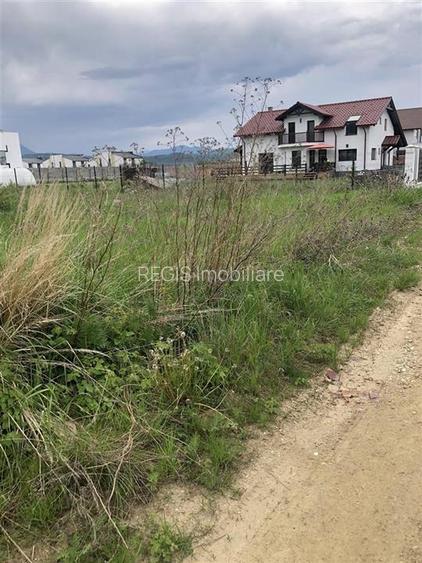 Teren intravilan Cristian 1000 mp - 2