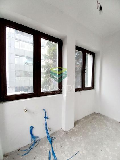 Vila 7 camere Primaverii - 10