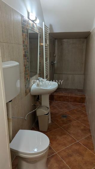 Vila P+1 Sector 1 Herastrau, Domenii, curte proprie, locuinta/birou/comercial - 23