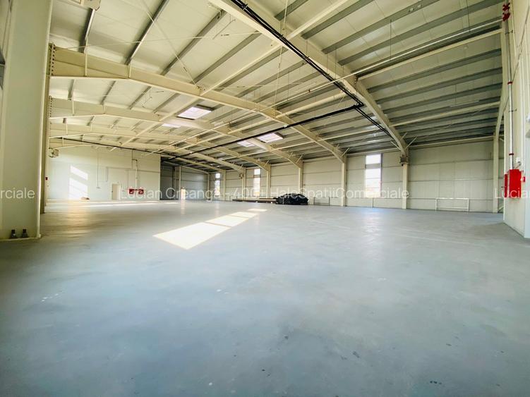 HALA NOUĂ de închiriat – 600-1171 mp, Letcani – zona Metro / Skoda - 11