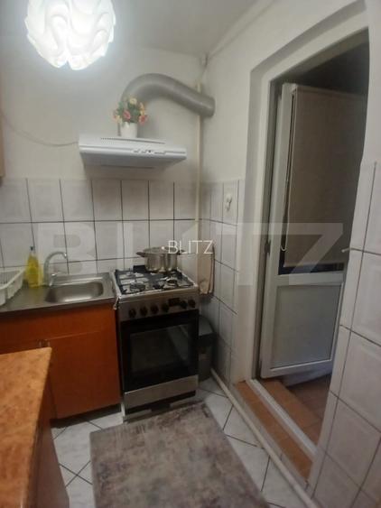 Apartament 2 camere zona Alexandru cel Bun  - 11