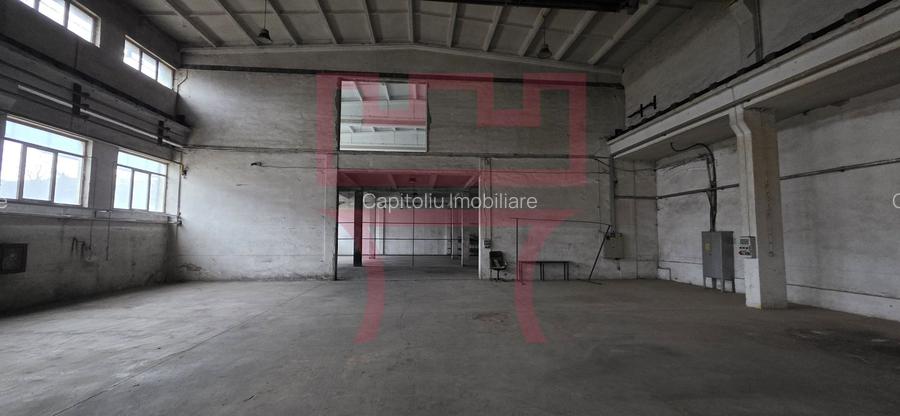 Inchiriere hala pod rulant 5T 650mp posibil 1350mp Corneliu Coposu - 14