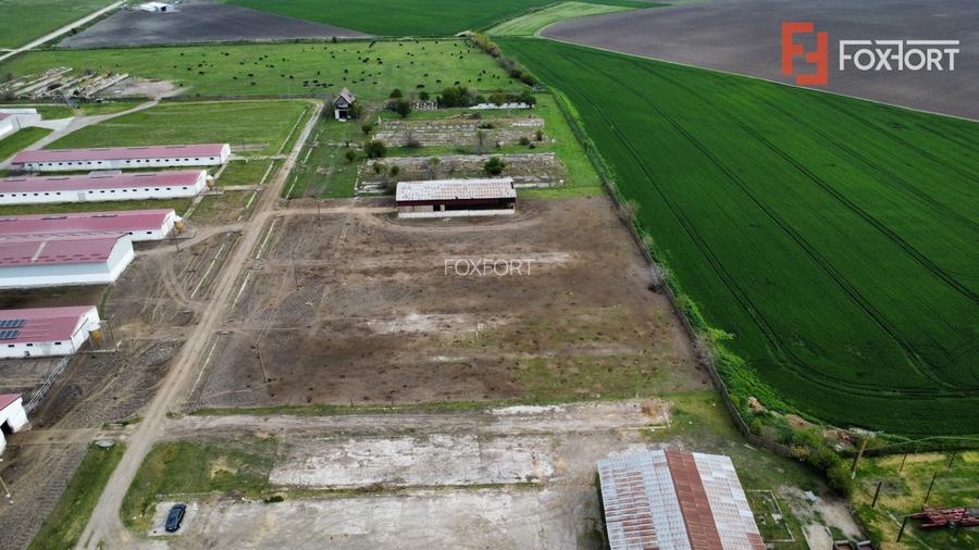 Teren intravilan cu suprafata de 58.340 mp, in Sanmartinul Sarbesc - 9