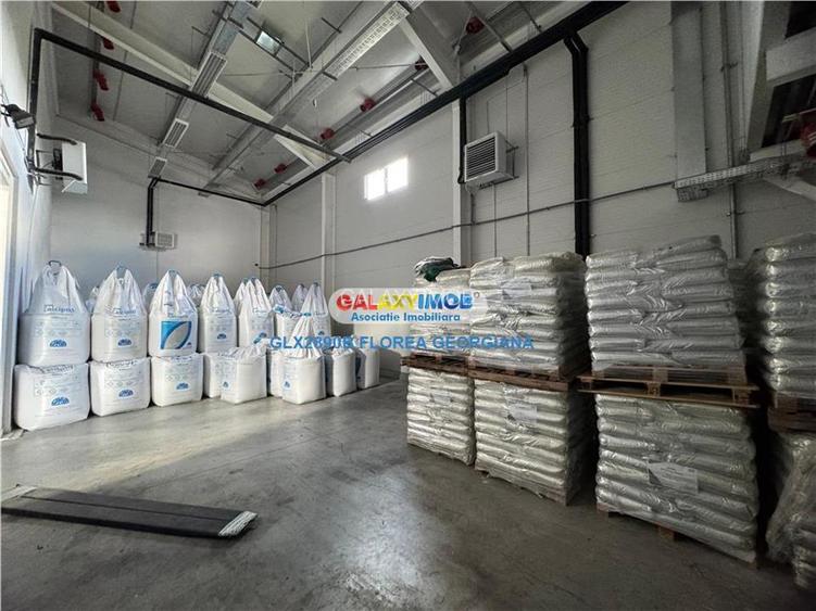 Vanzare spatiu industrial Crevedia - 10