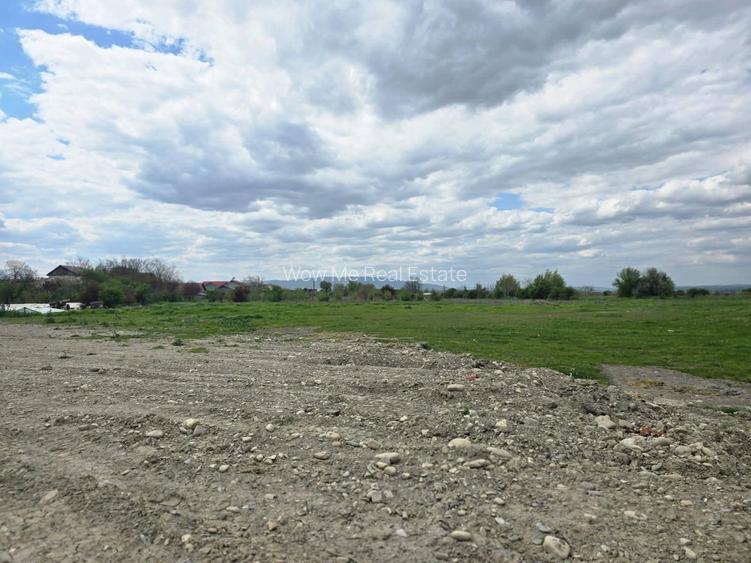 Teren intravilan arabil 16591 mp E85 Garoafa, Bizighești, Vrancea - 4