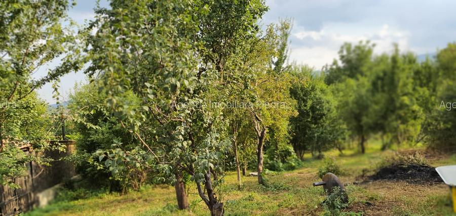 Vand teren intravilan de constructii,situat in Cisnadie,zona centrala - 5